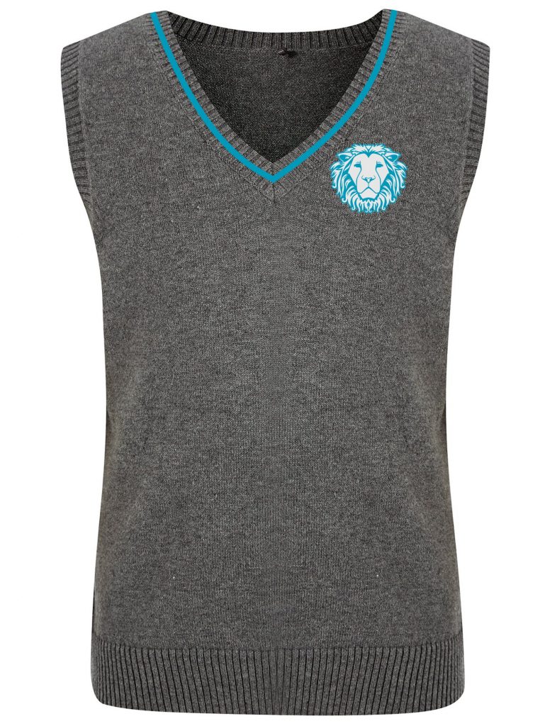 Hastings Academy V-neck Pull over